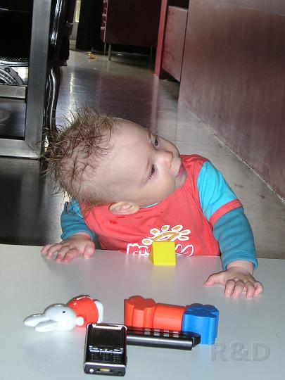 Imme 13 mei 2007 (6).JPG